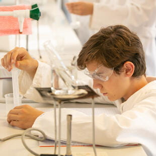 La Côte International School Aubonne - Switzerland | Nord Anglia Education - PPC - Feature Cards Pattern