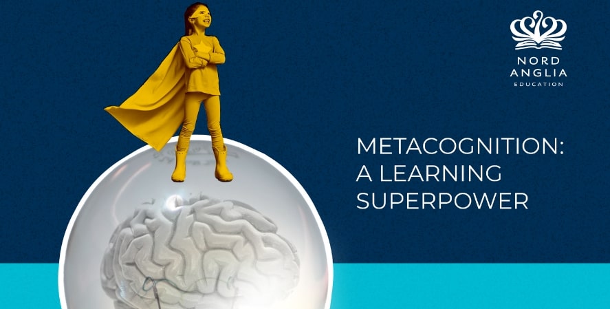 Metacognition 