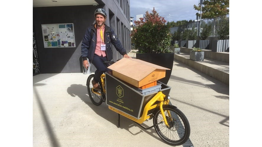 The LCIS Bee Project - the-lcis-bee-project