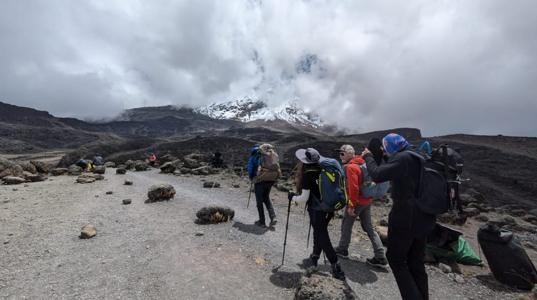 Kilimanjaro Adventure: A Journey of Endurance and Growth - Carousel For News Detail