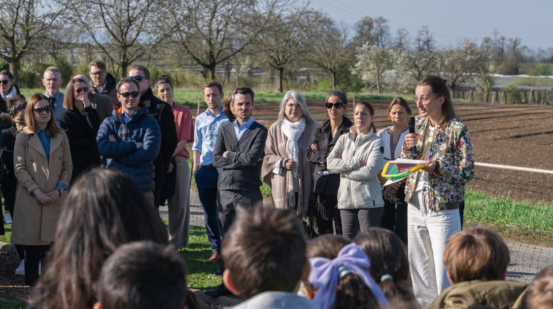 LCIS Earns the Eco-Schools Green Flag: A Commitment to Sustainability - Carousel For News Detail