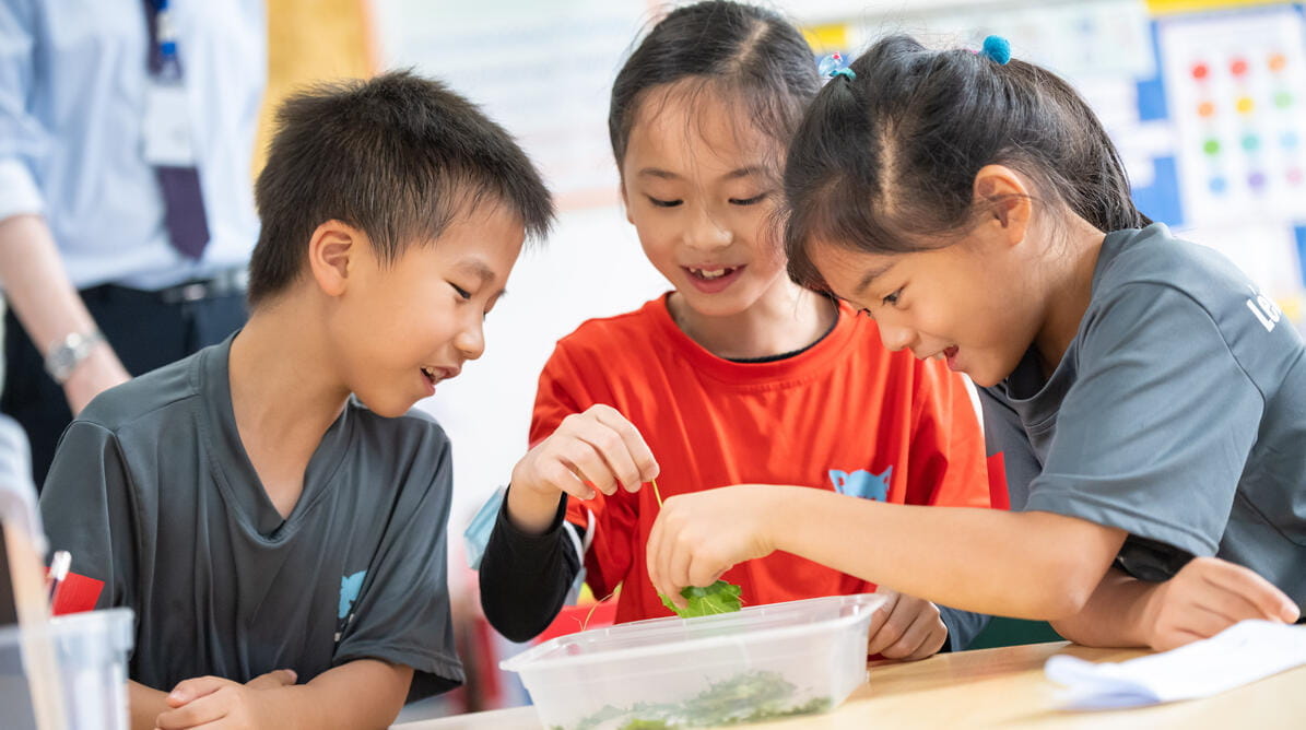 培养社会企业家精神 | 成都乐盟外籍人员子女学校 - Image-50-50 3