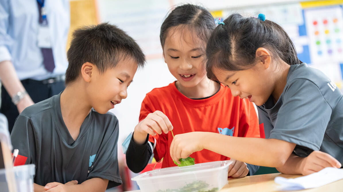 Image_LIS_Chengdu_2021_138