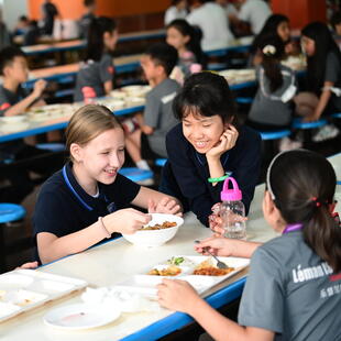 教学特色与学术优势｜成都乐盟外籍人员子女学校 - 04 - visualTimeline WithTags
