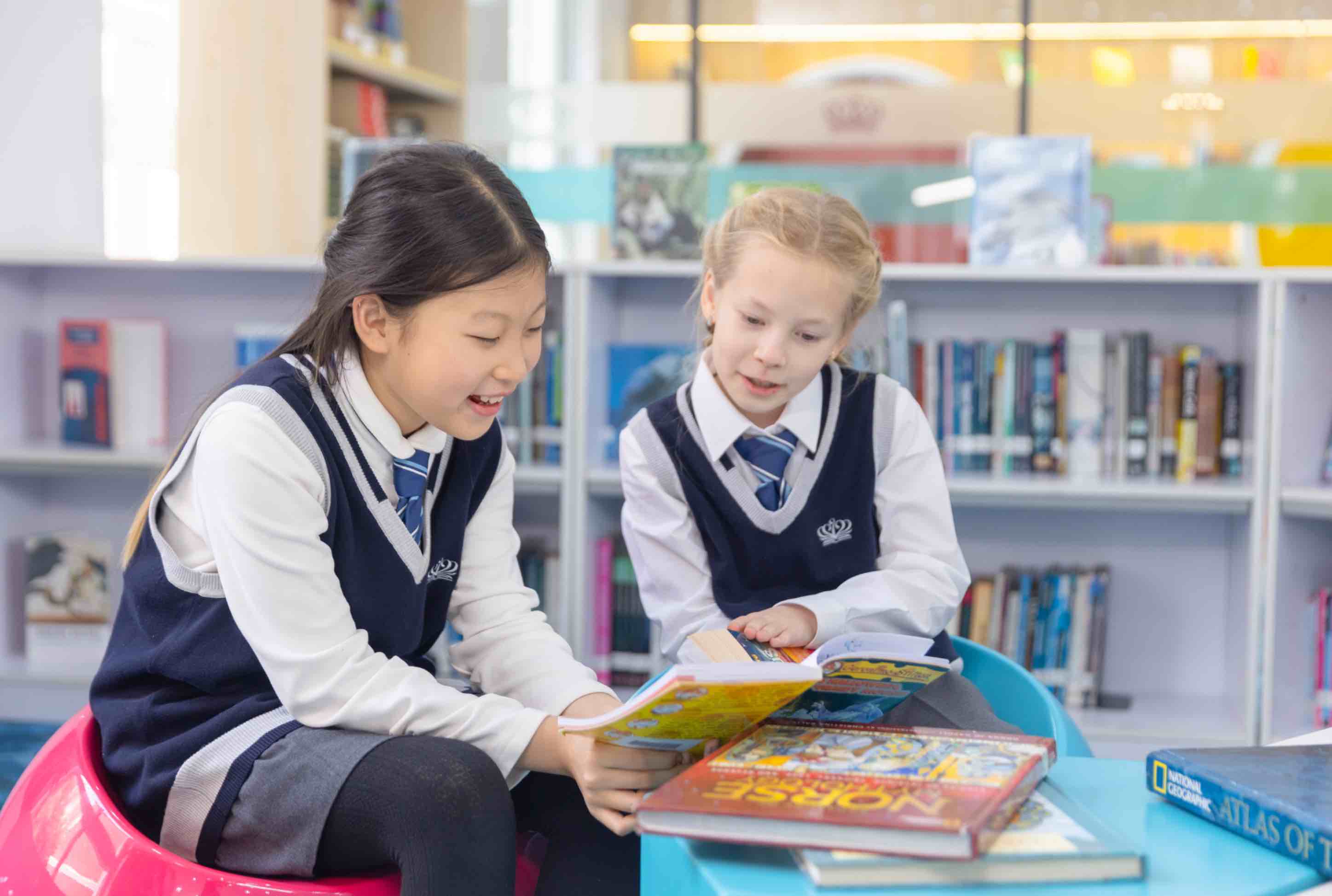 培养社会企业家精神 | 成都乐盟外籍人员子女学校 - Content Page Header
