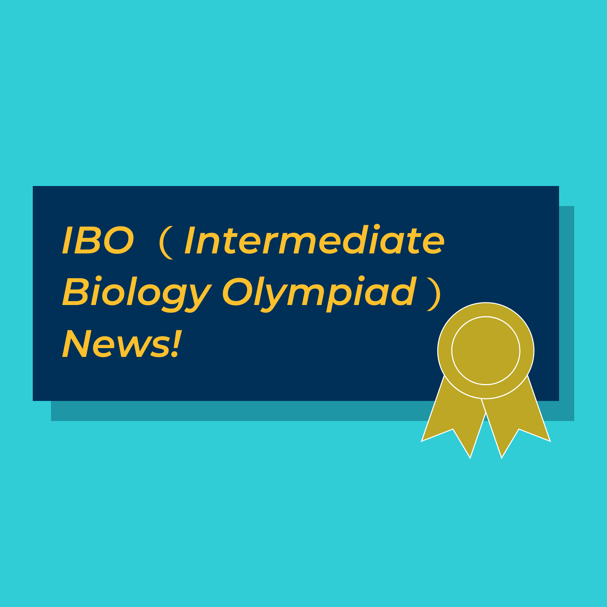 IBO News - IBO News