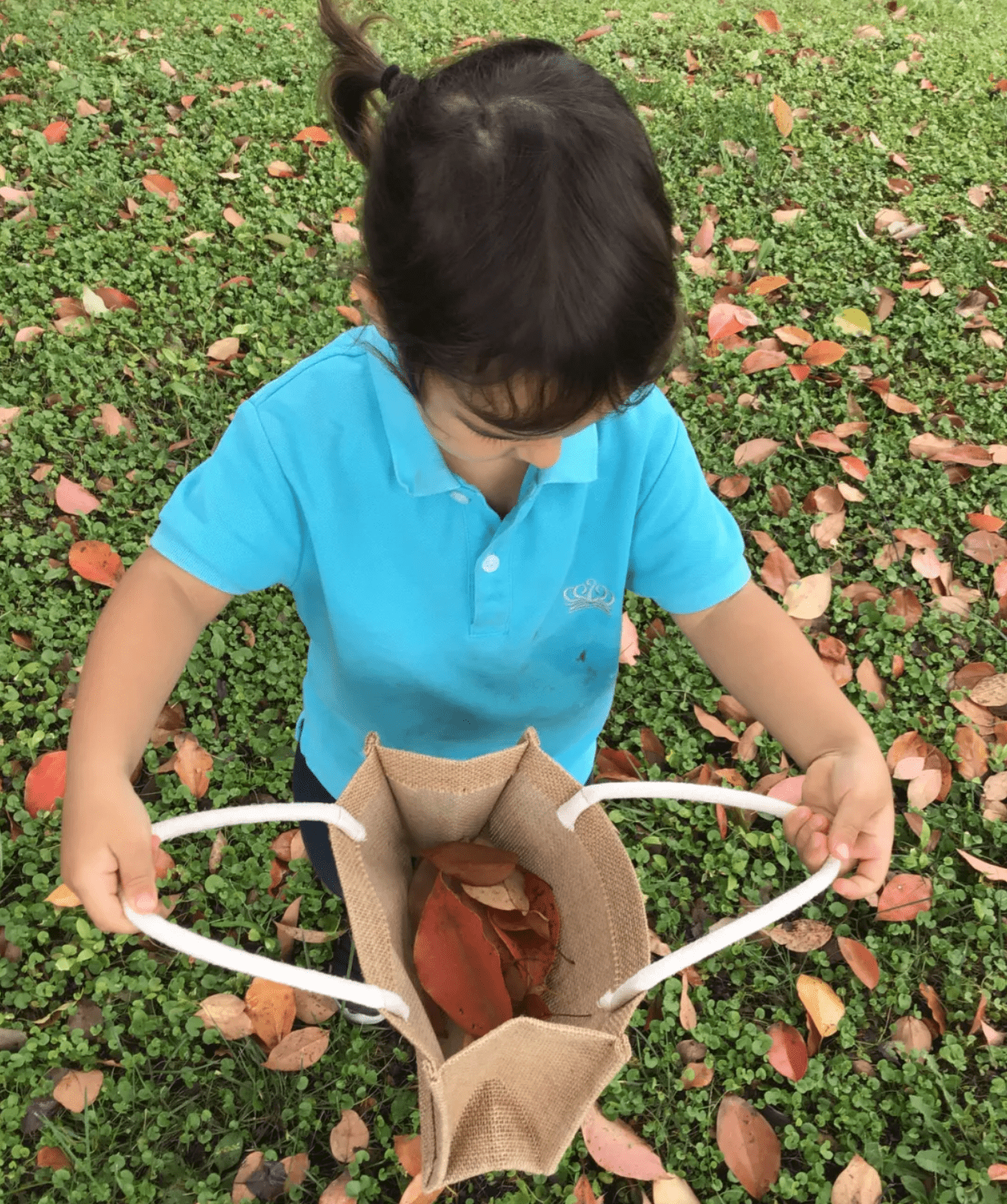 Little Hands, Big Maths - Little Hands Big Maths