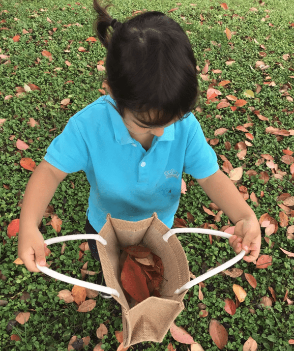 Little Hands, Big Maths - Little Hands Big Maths