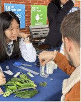 启迪未来：以信任、变革与未来共庆世界科学日 - Inspiring the Future