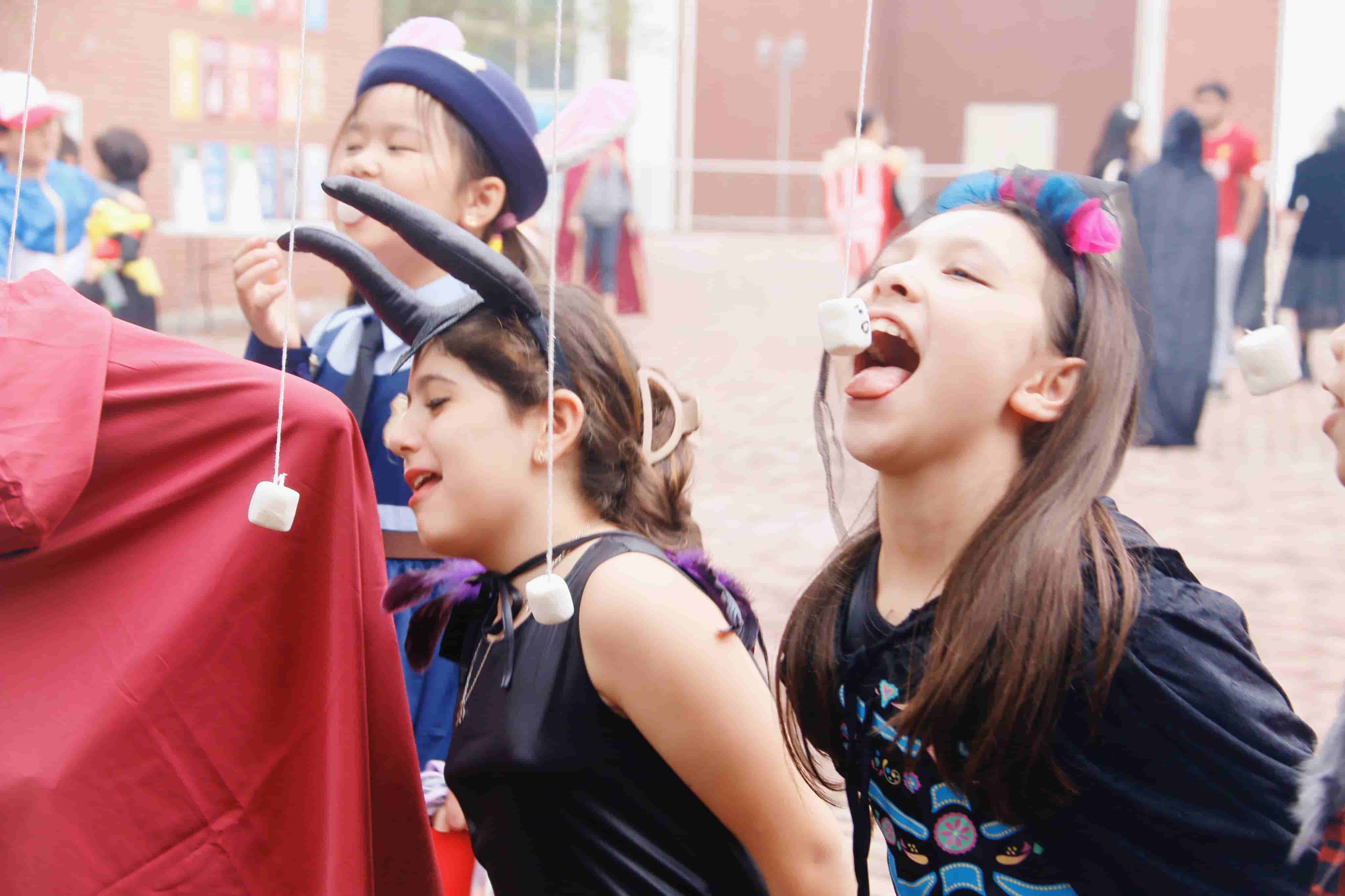 Autumn Festival Celebrations - Autumn Festival Celebrations