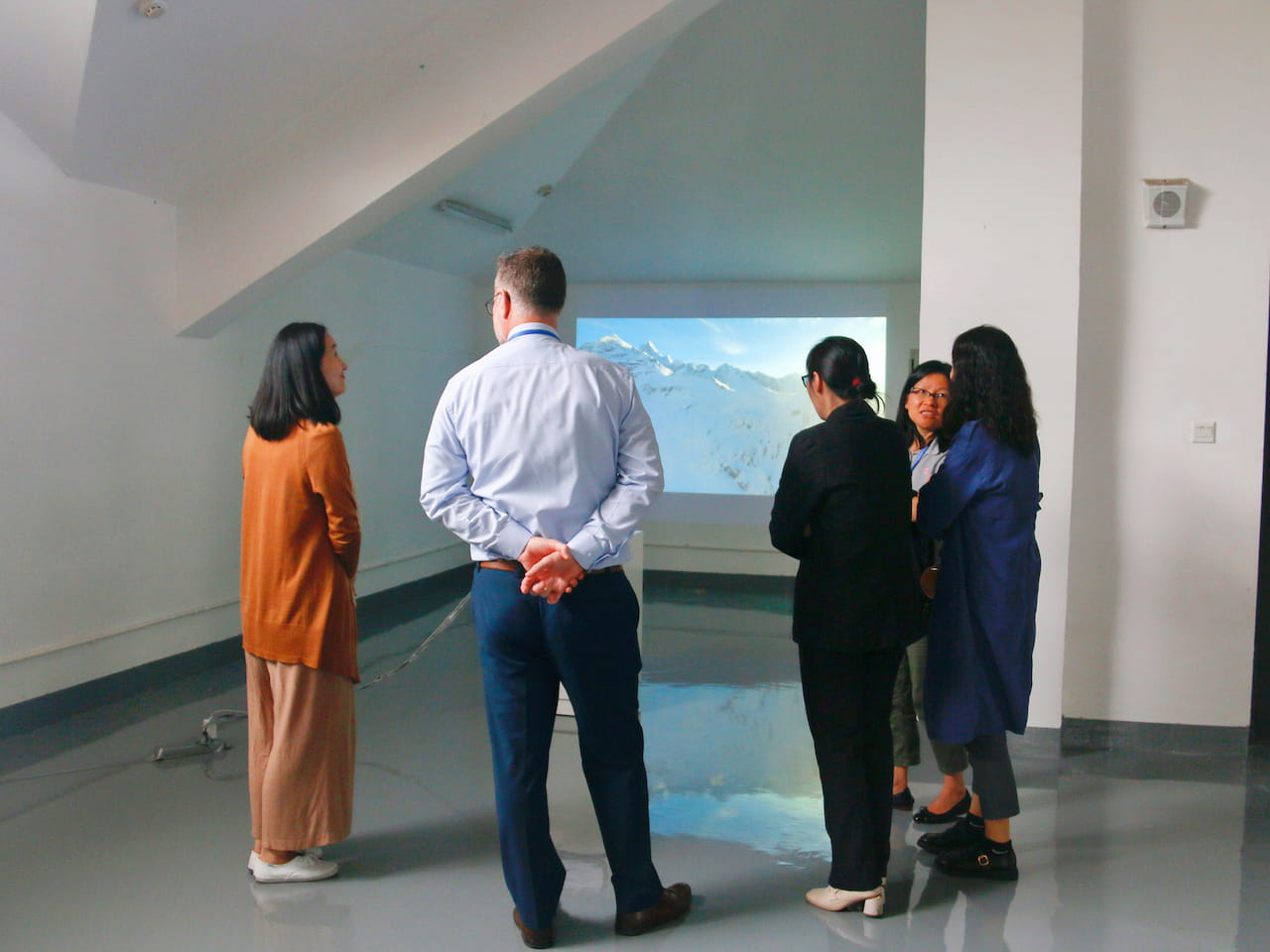 IBDP视觉艺术展览 - IBDP Visual Arts Exhibition