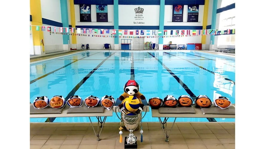 Swimming Pool Update - swimming-pool-update