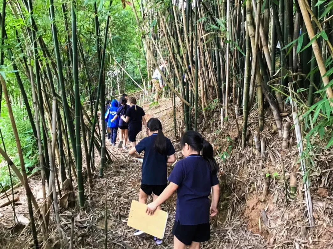 欢迎我们的新任校长 - Introducing our new Principal