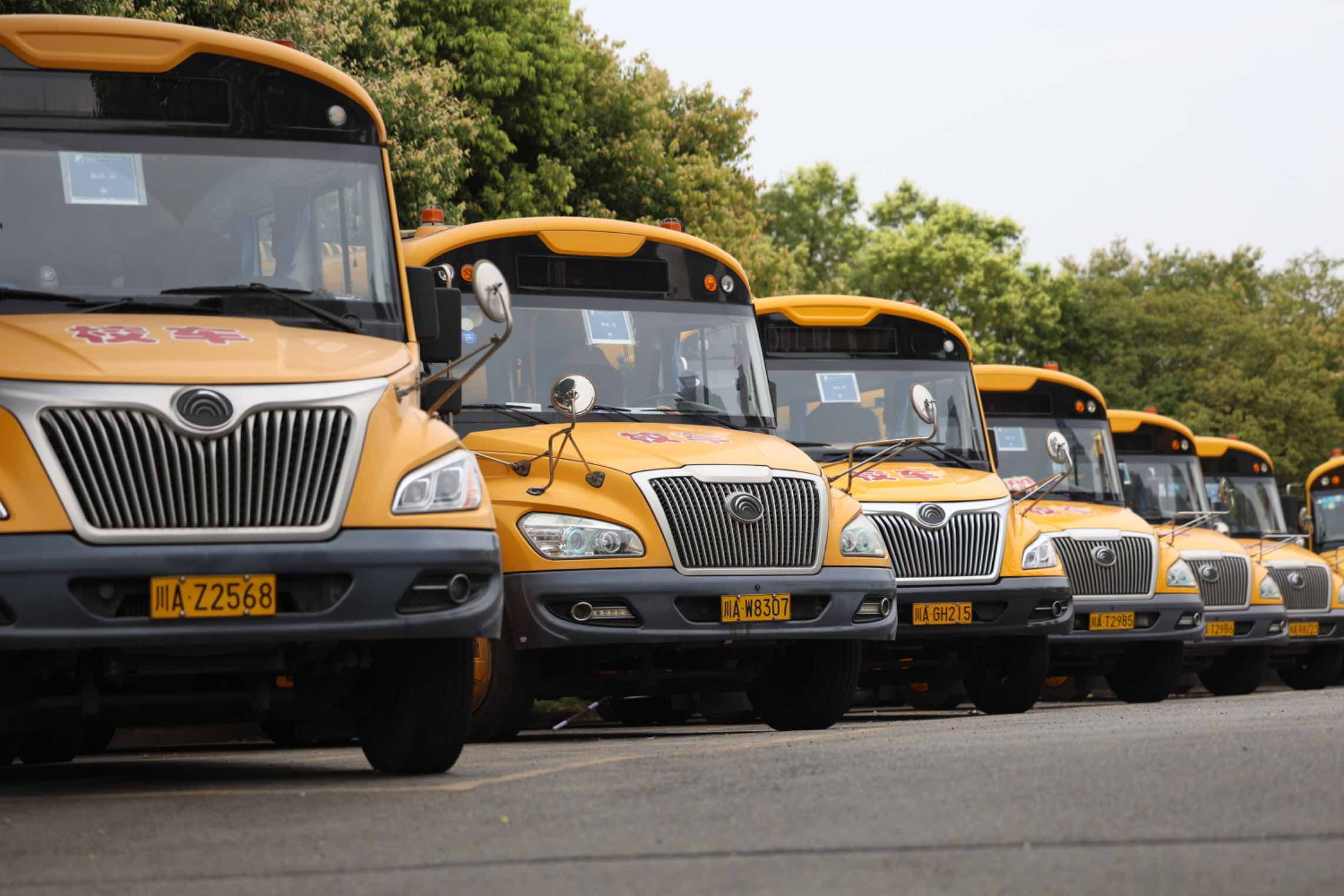 Parent Essentials | Léman International School Chengdu - Feature Cards Pattern