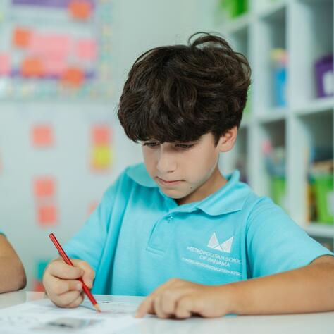 MET Panama | La Escuela Internacional Líder en Panamá - Small Text And Image Checklist