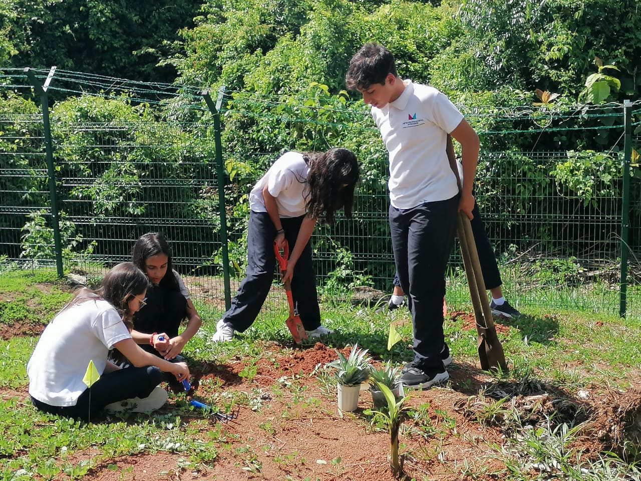 Reducing Food Waste through the Food Waste Reduction and Management Program - Reducing Food Waste through the Food Waste Reduction and Management Program