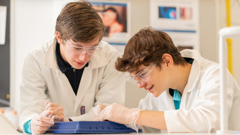 NAISD_Dublin_Oct 2021_066