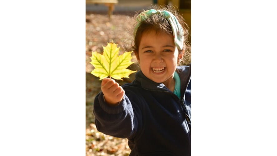 A Day in Our Early Years - a-day-in-our-early-years
