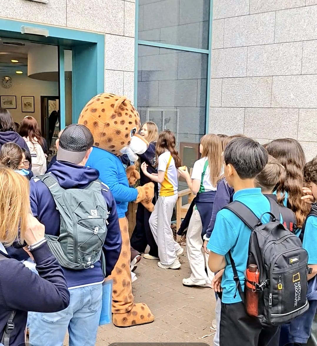A Global STEAM Experience with a Spark of Ireland - A Global STEAM Experience with a Spark of Ireland
