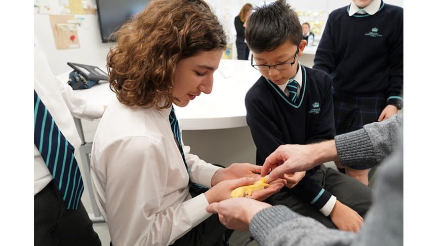 Science Week - science-week