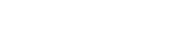 NAIS Dublin Logo White