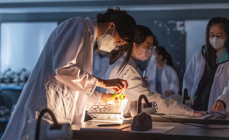 NAISHK_HongKong_KwunTong