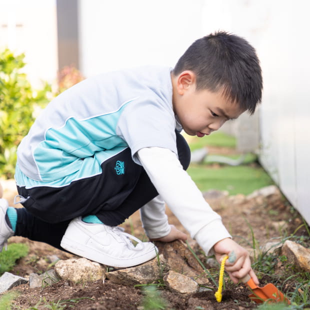 EYFS Understand the World - NAIS Hong Kong