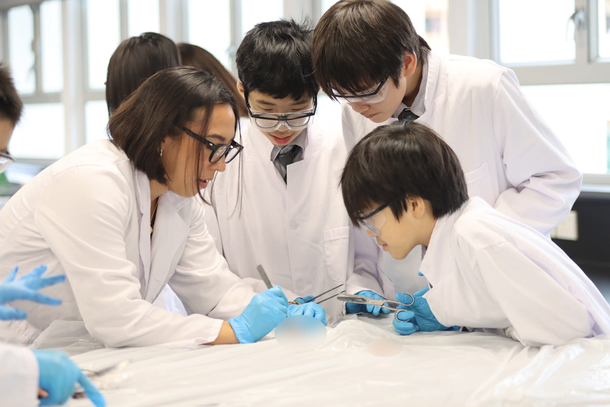 20231214 Year 8 Science Class