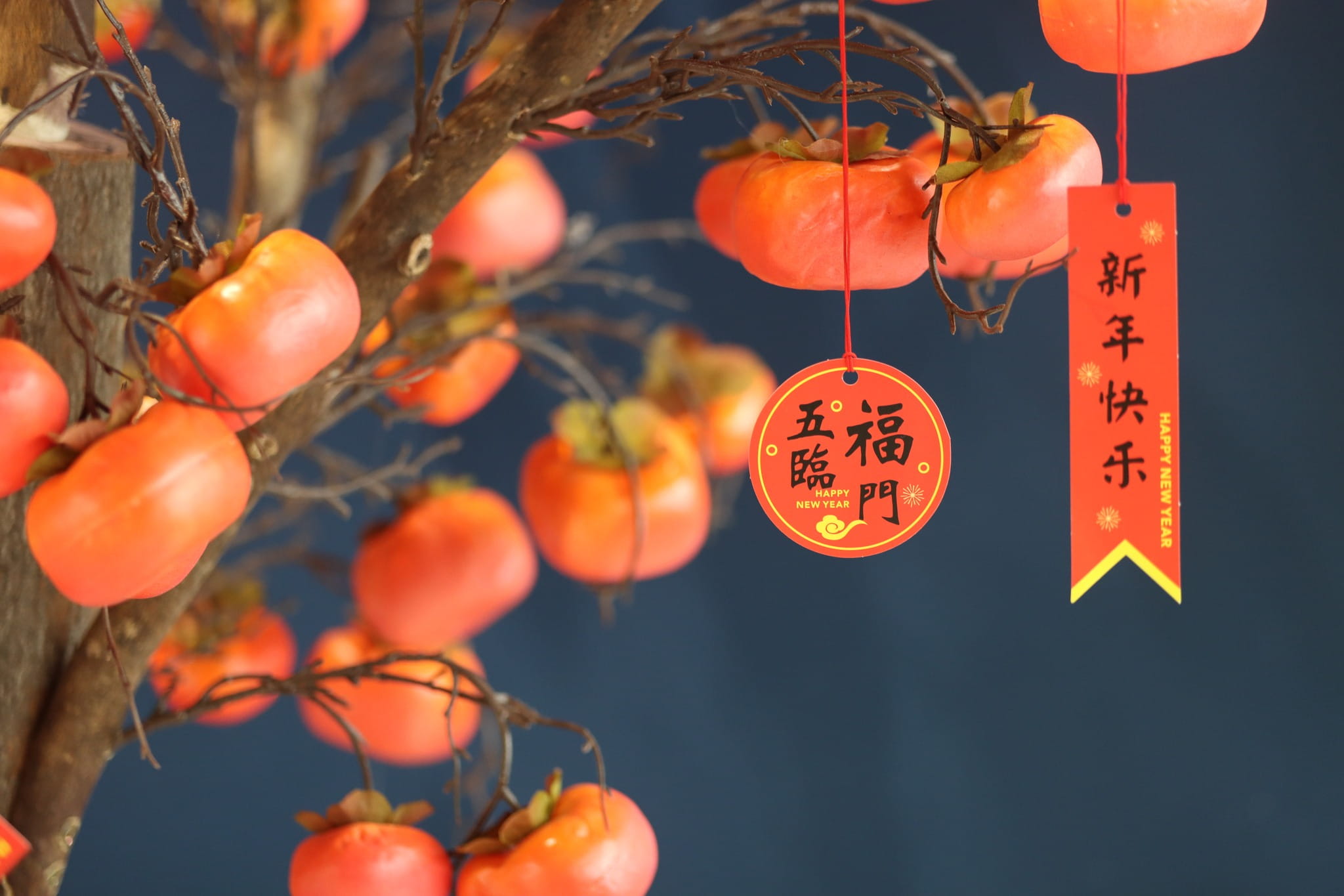 20240205 Year of the Dragon festive decoration