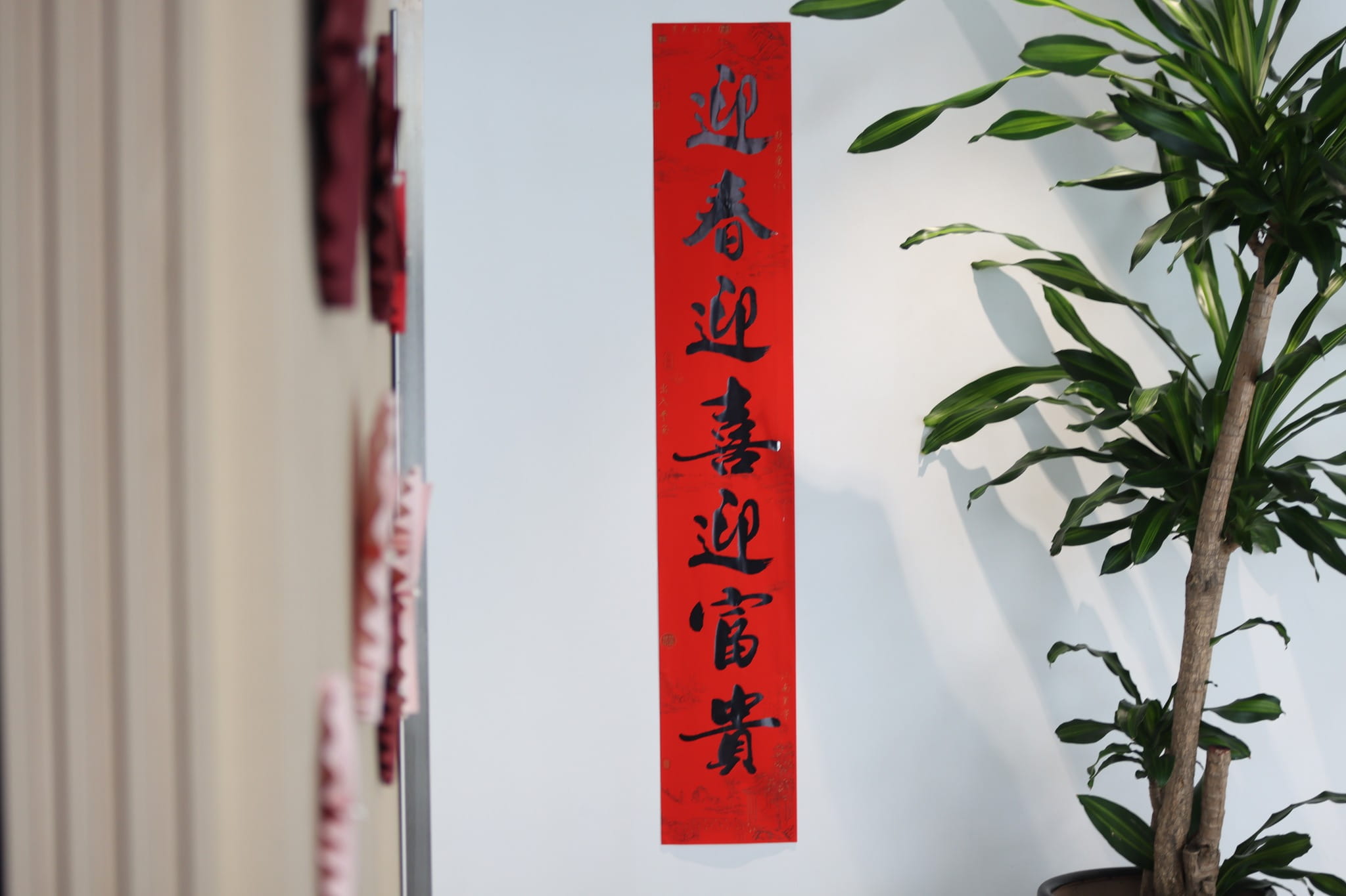 20240205 Year of the Dragon festive decoration