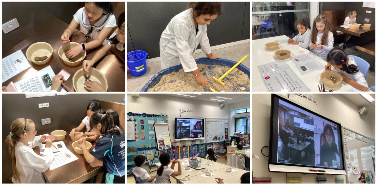 Primary Campus Weekly Update - Primary Campus Weekly Update