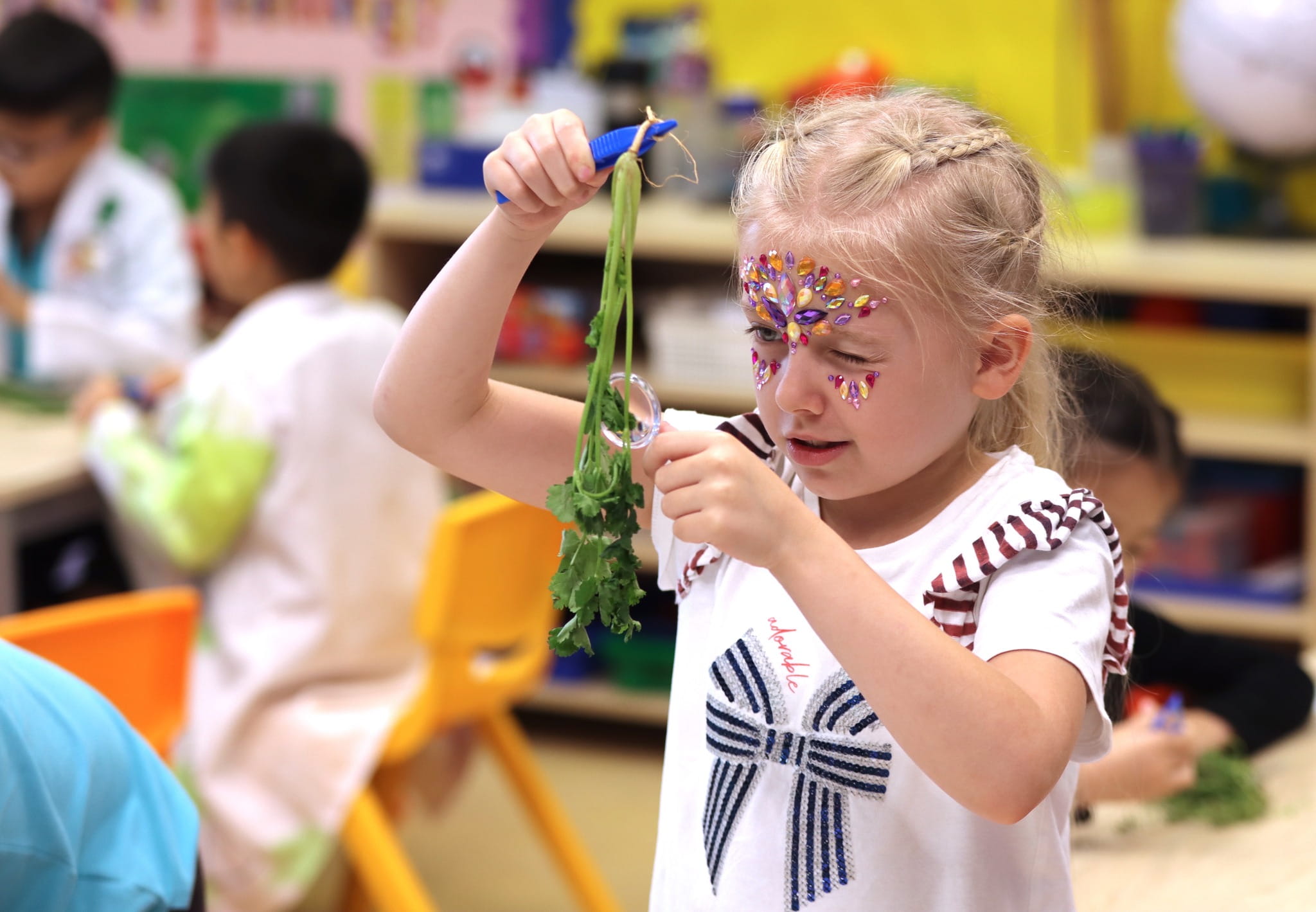 Primary Campus Weekly Update - Primary Campus Weekly Update