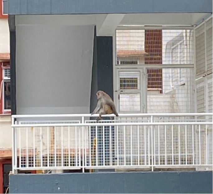 Secondary Campus Weekly Update - Secondary Campus Weekly Update