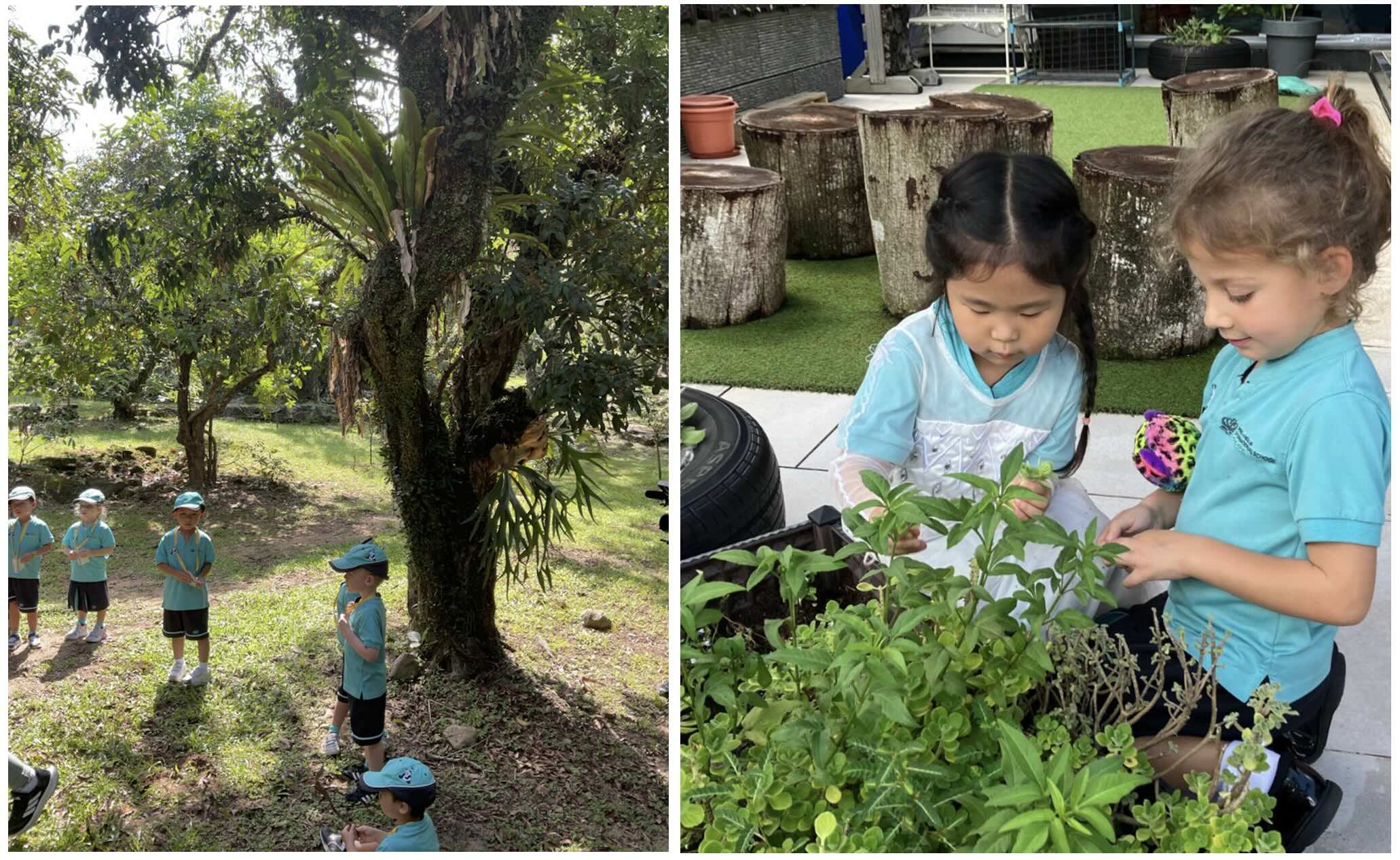 Early Years Campus Weekly Update 15 Sep 2025 - Early Years Campus Weekly Update 15 Sep 2025