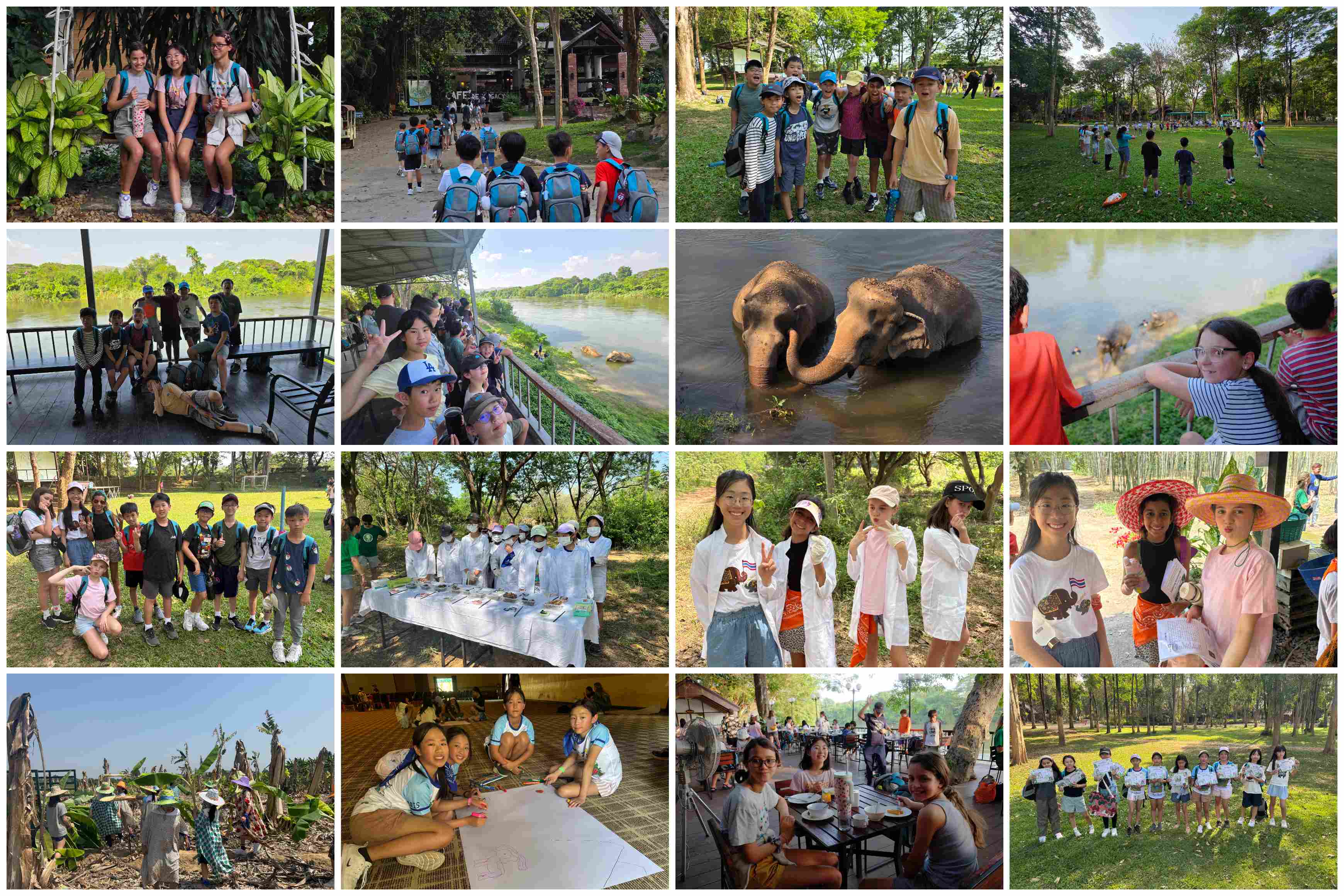 Primary Campus Weekly Update 16 Mar 2026 - Primary Campus Weekly Update 16 Mar 2026