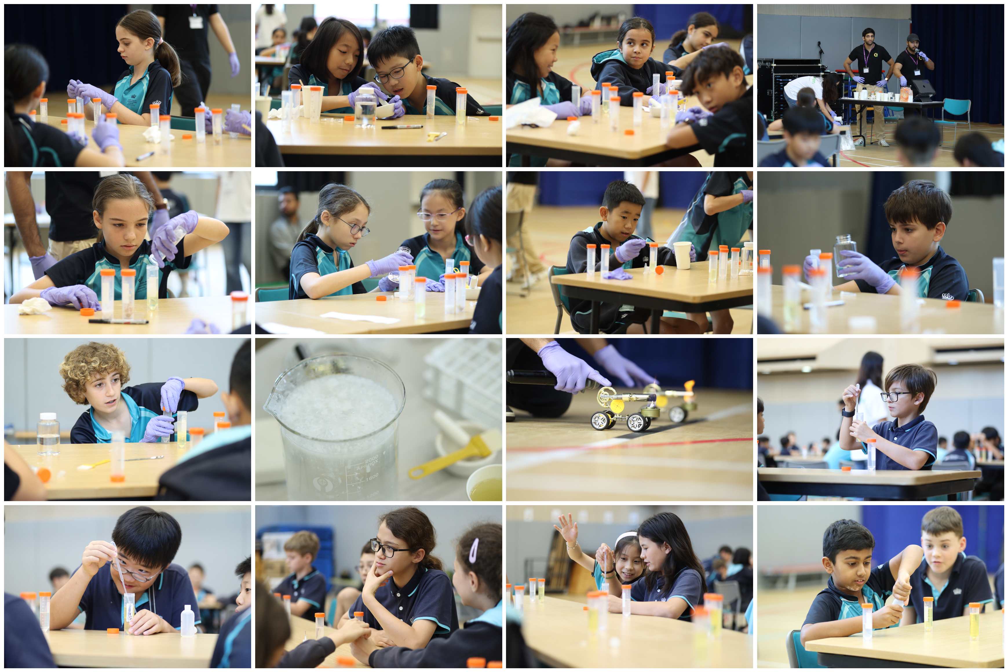 Primary Campus Weekly Update 11 May 2026 - Primary Campus Weekly Update 11 May 2026
