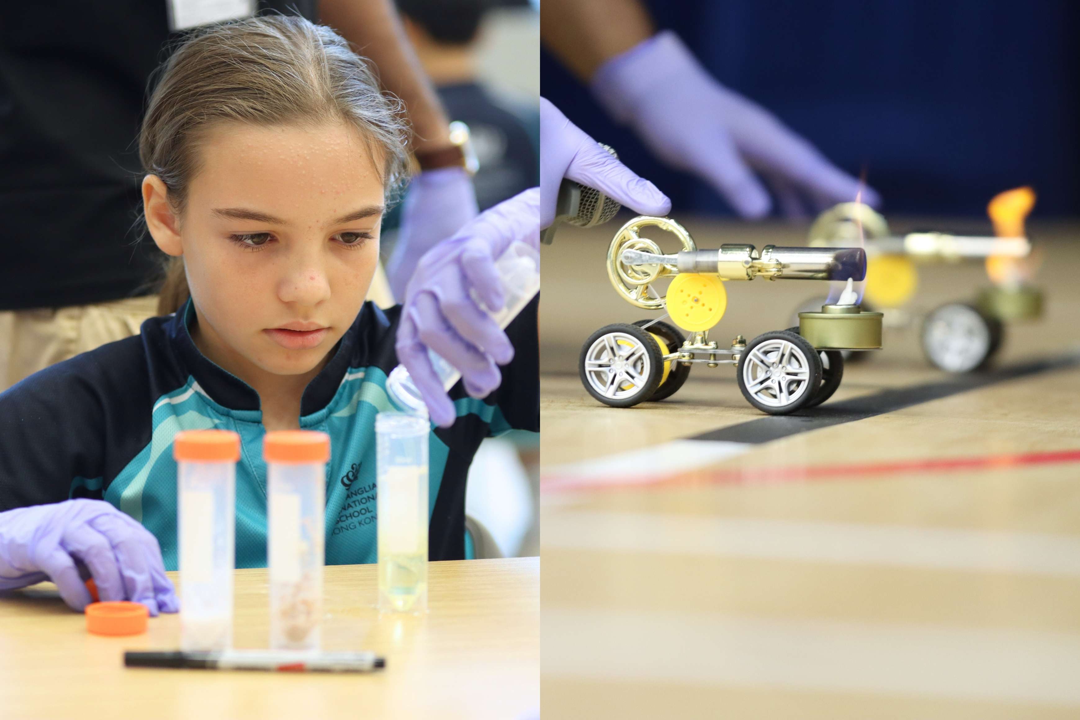 Primary Campus Weekly Update 11 May 2026 - Primary Campus Weekly Update 11 May 2026