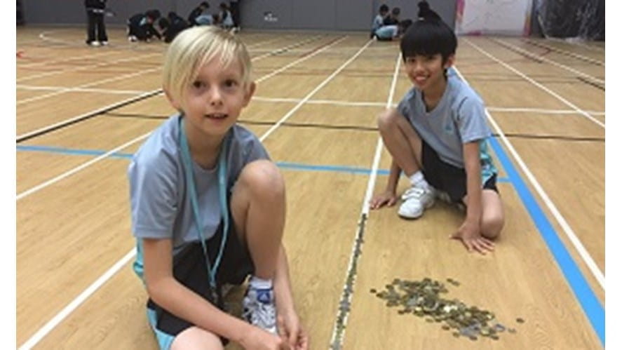 IMG_2806 cropped 300