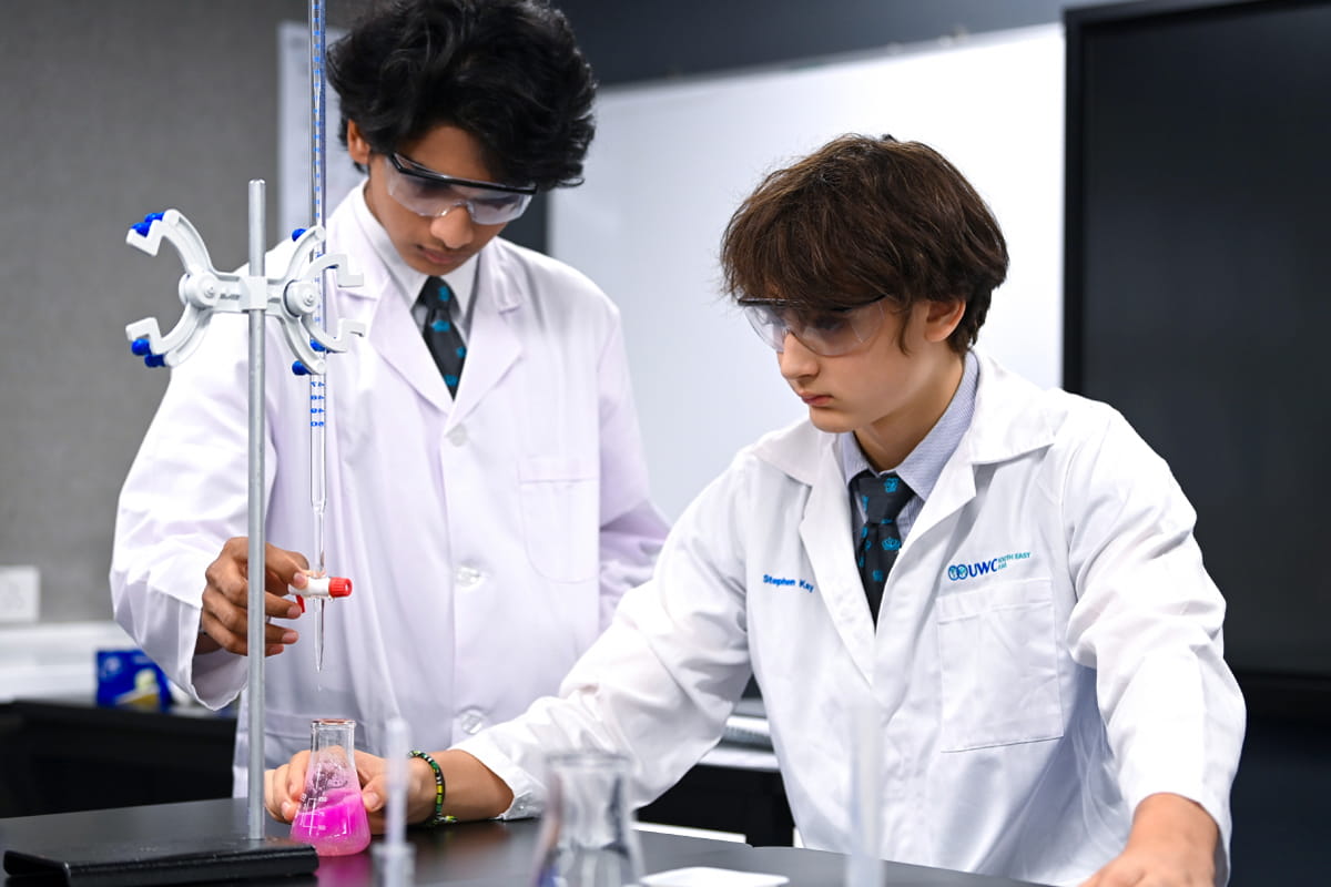 An Exceptional International School In Hong Kong - Feature Cards Pattern - METACOG