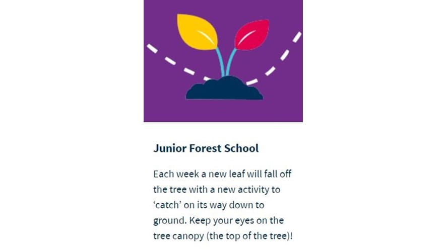 GCJR Forest School