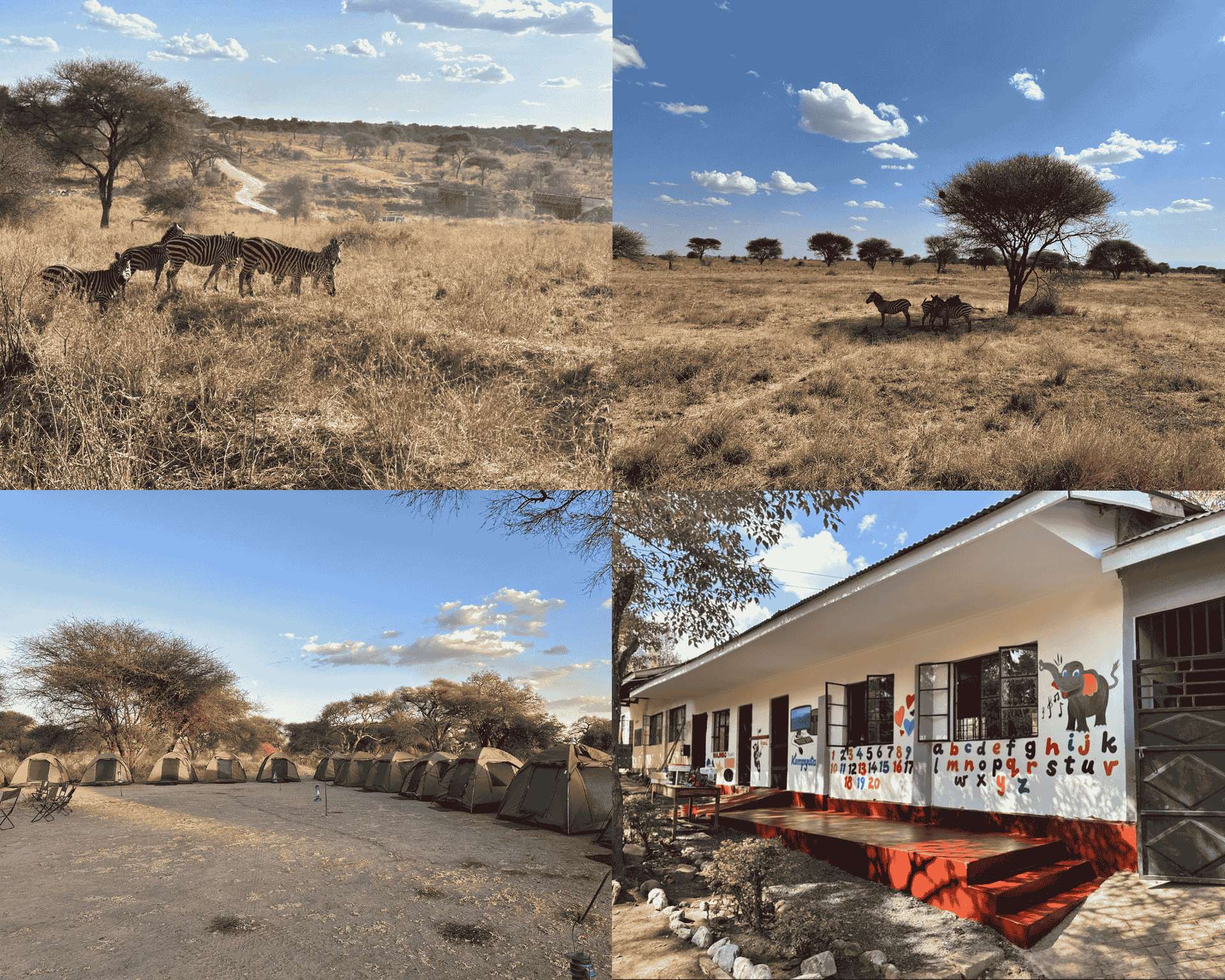 Global Learning in Action NAIS Manila Students Discover Purpose in Tanzania - Global Learning in Action NAIS Manila Students Discover Purpose in Tanzania