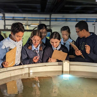 Museums and Learning Centers