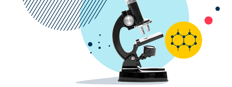 Nord Anglia International School New York | Nord Anglia - Image-50-pattern