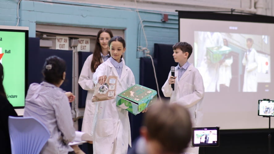 Bark Tank - Bark Tank