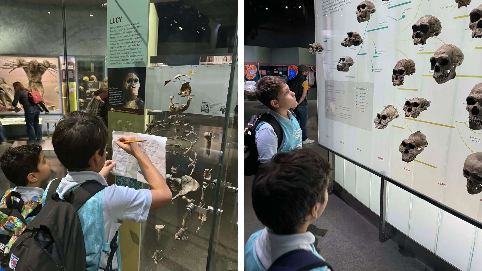 Exploring Human Origins A Journey of Discovery for Years 3 and 4 at NAISNY - Exploring Human Origins A Journey of Discovery for Years 3 and 4 at NAISNY