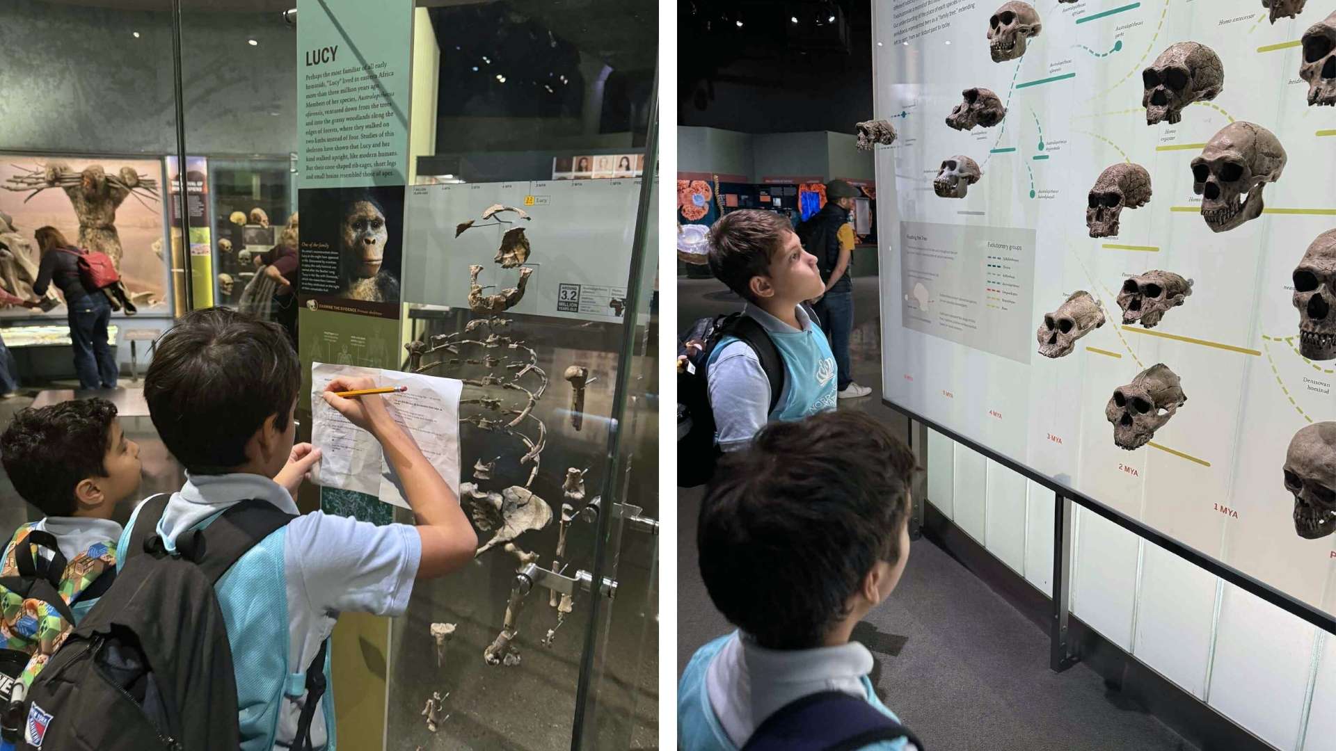 Exploring Human Origins A Journey of Discovery for Years 3 and 4 at NAISNY - Exploring Human Origins A Journey of Discovery for Years 3 and 4 at NAISNY