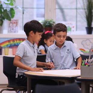 Nord Anglia International School New York | Nord Anglia - Feature Cards Pattern