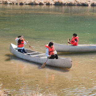 Nord Anglia International School New York | Nord Anglia - Feature Cards Pattern