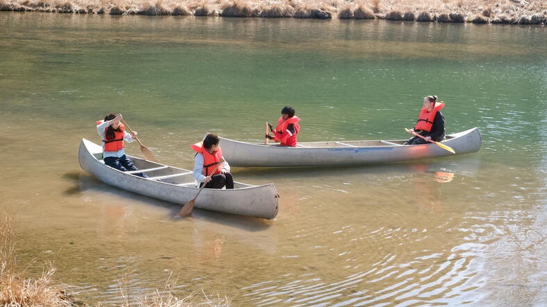 Nord Anglia International School New York | Nord Anglia - Feature Cards Pattern