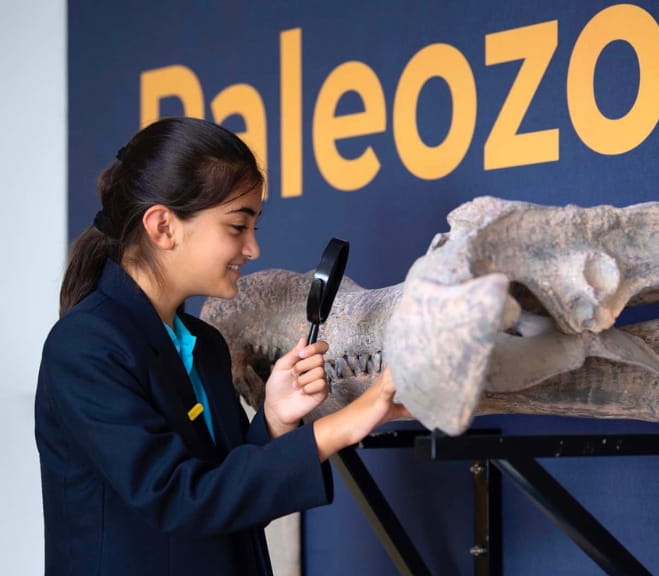 设施图库|上海浦东诺德安达国际学校 - Main Gallery